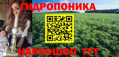 кокс Кингисепп