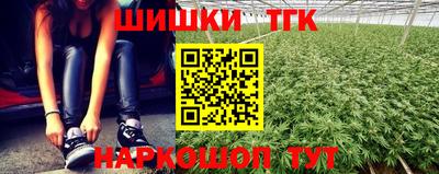 кокс Кингисепп