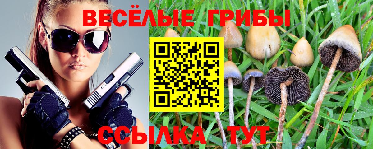 Псилоцибиновые грибы прущие грибы Чебаркуль