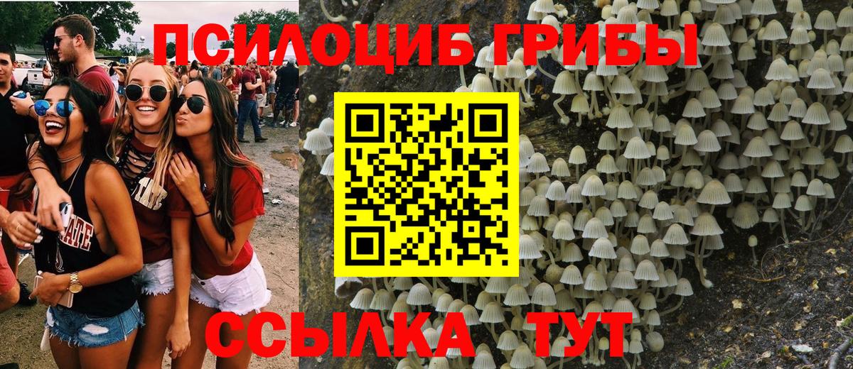 Псилоцибиновые грибы ЛСД  Галлюциногенные грибы Psilocybine cubensis  Вход с VPN  Чебаркуль 